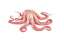 Whole Octopus